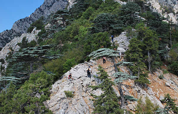 Mount Olympos Ascent